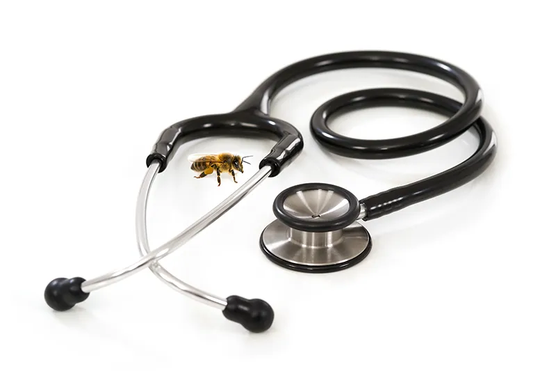 Apitherapy products made from honey and beeswax, Pebadale Apiaries Waltham Cross